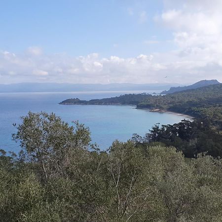 Porquerolles - Nuit Insolite A Bord Du Defi Fou Bagian luar foto