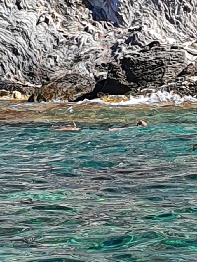 Porquerolles - Nuit Insolite A Bord Du Defi Fou Bagian luar foto